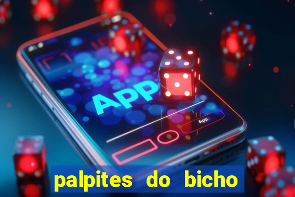 palpites do bicho no celular