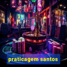 praticagem santos