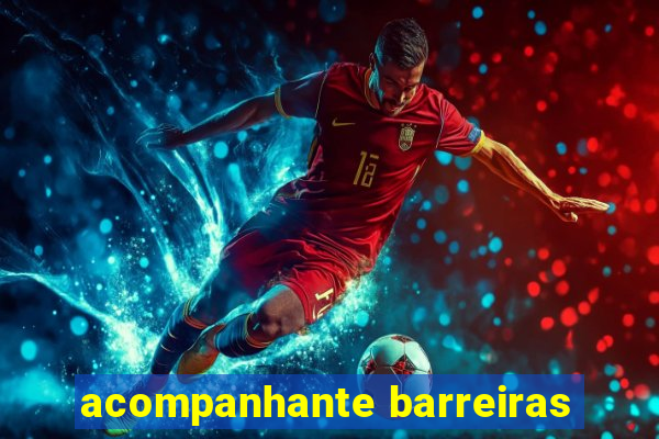 acompanhante barreiras