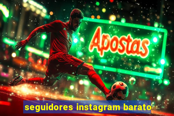 seguidores instagram barato