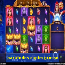 paratodos capim grosso