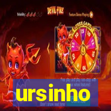 ursinho-pg.com